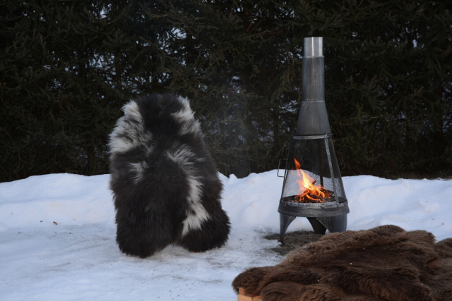 Rarität Tiroler Steinschaf (öko)